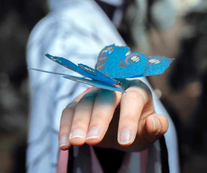 mariposa