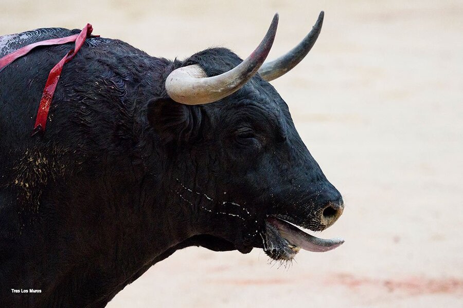 tortura